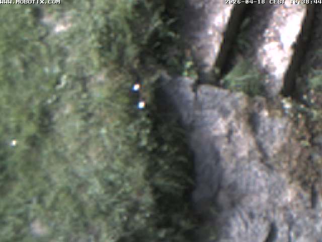 Camera Live Image