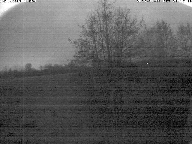 Camera Live Image