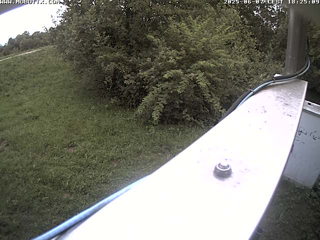 Camera Live Image