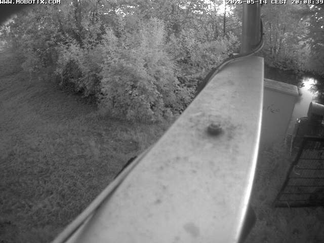 Camera Live Image